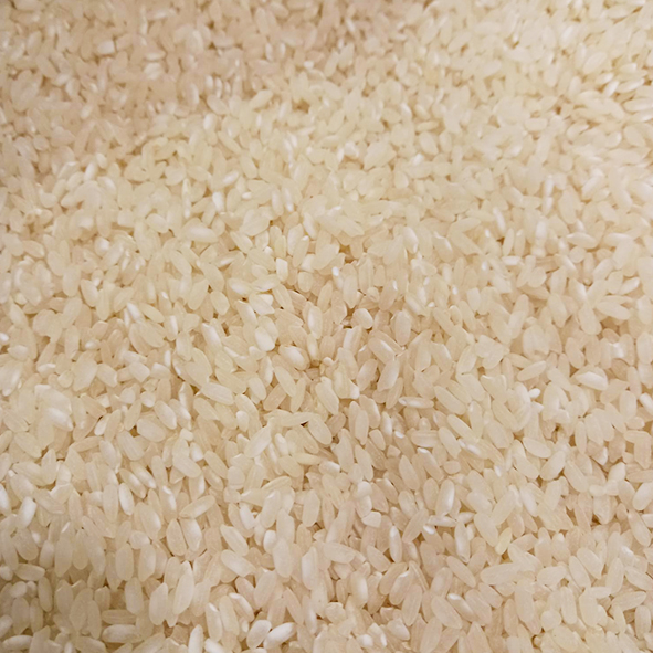 Riz RONALDO