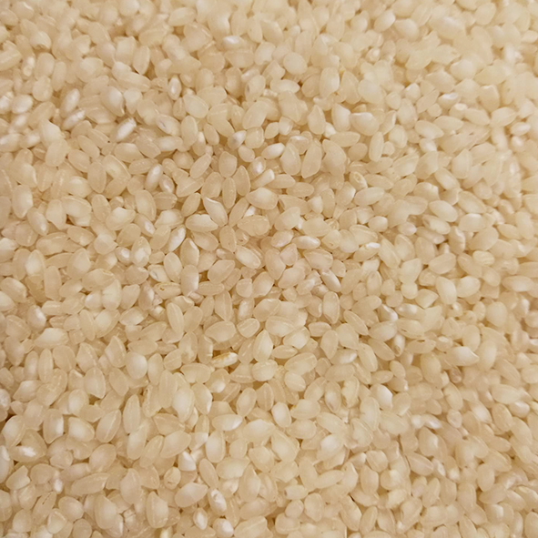 Riz BOMBA