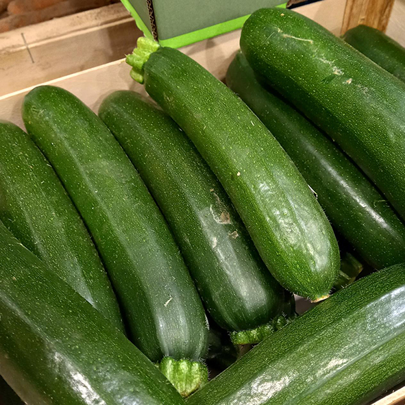 Courgette