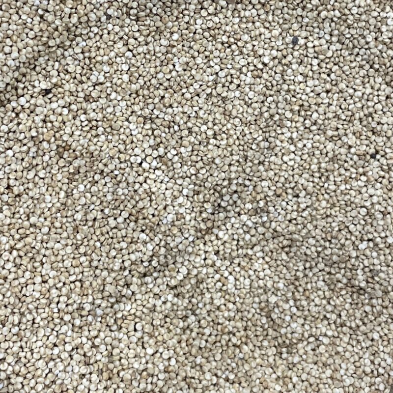 Quinoa