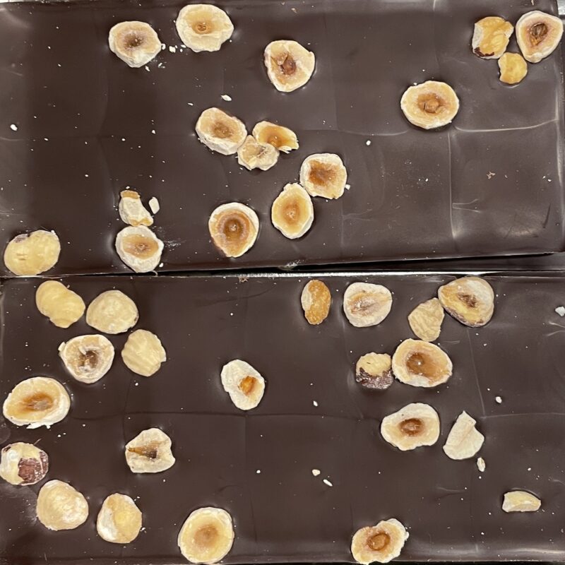 Chocolat noir + noisettes BIO