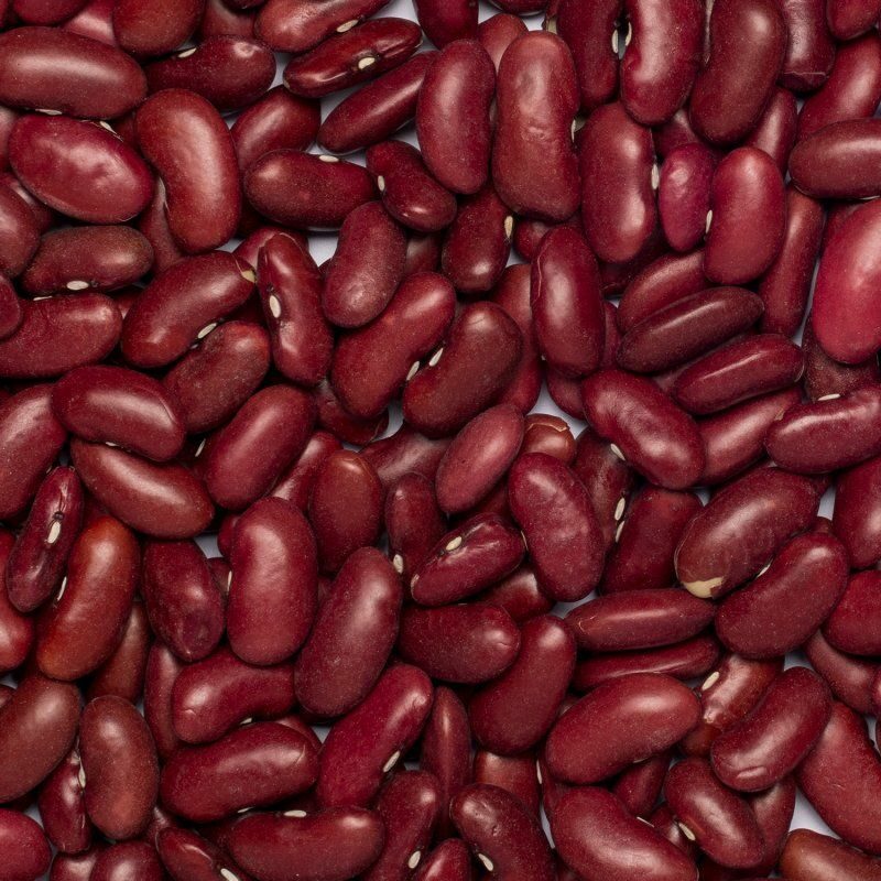 Haricots rouges bio