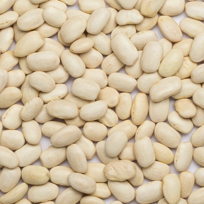 Haricots blancs bio