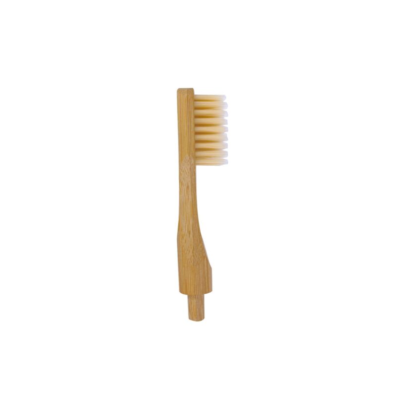 TÊTE DE RECHARGE POUR BROSSE À DENTS ADULTE